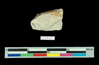 藏品(柴石(木葉石))的圖片